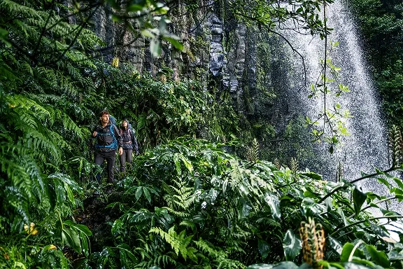 Zwei Wanderer mit Wanderrucksäcken im dichten Grün vor einem Wasserfall.